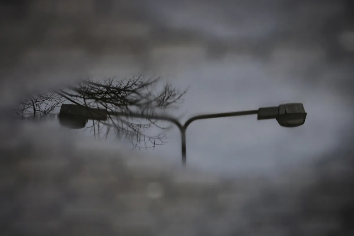 Streetlamp and bare branches reflected in a dark puddle